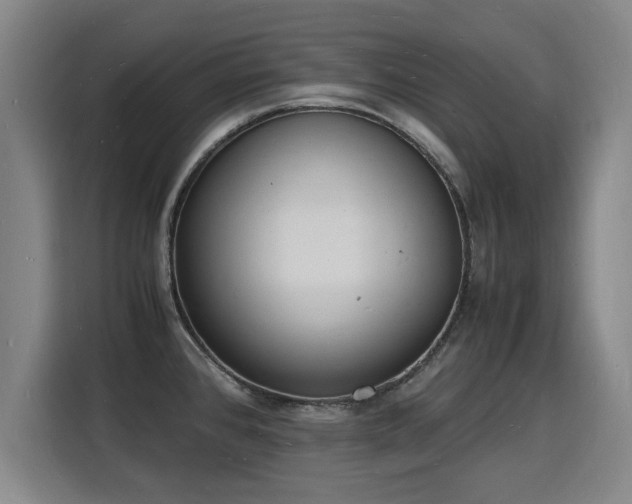 X0000115841384200911201544