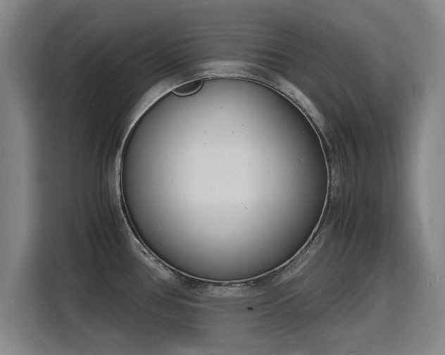 X0000115841386200911201544