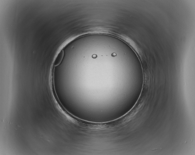 X0000115841387200911201544