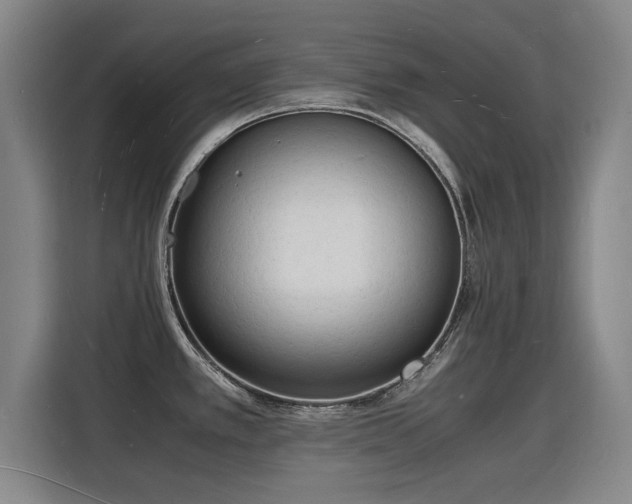 X0000115841389200911201544