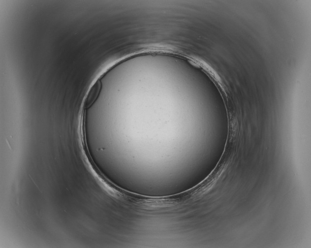X0000115841391200911201544