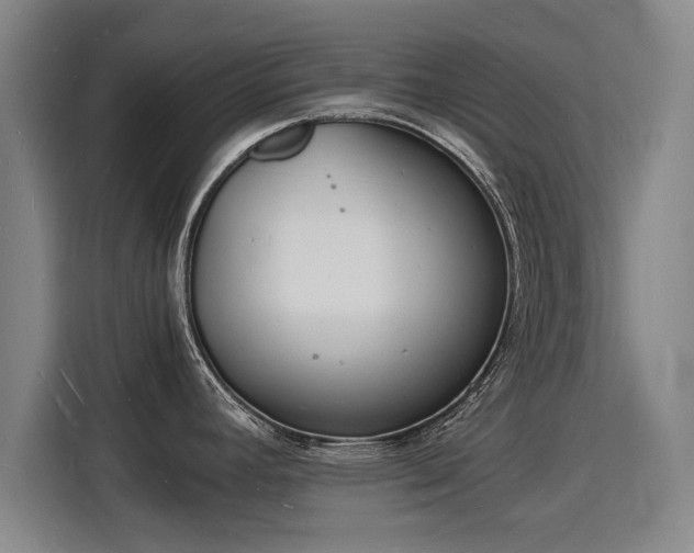 X0000115841392200911201544