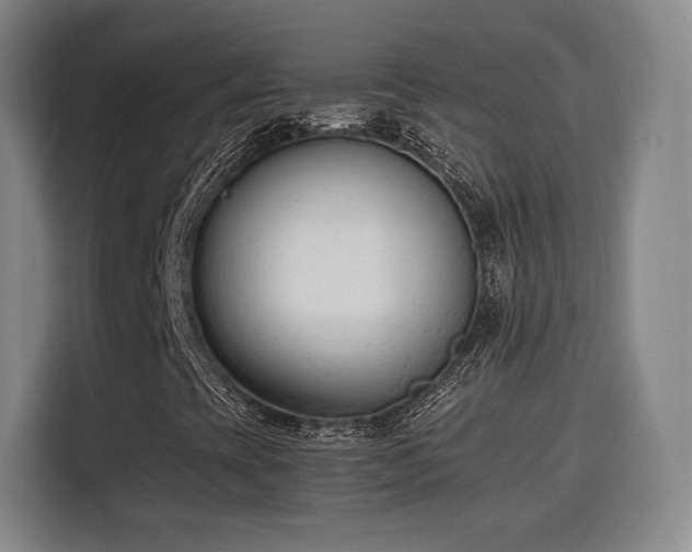 X0000115841393200911201543