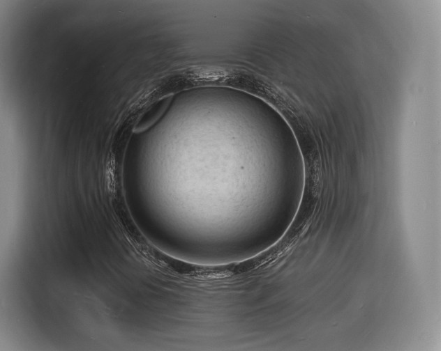 X0000115841394200911201543