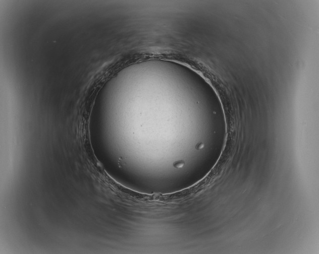 X0000115841398200911201543
