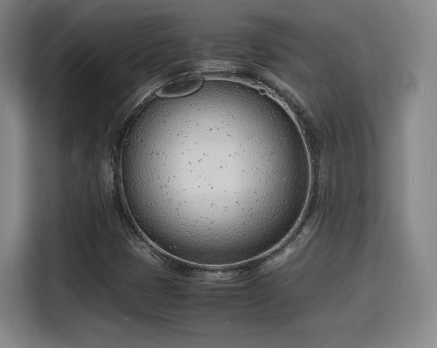 X0000115841401200911201543