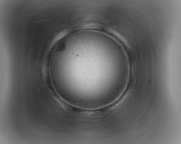 X0000115841405200911201543