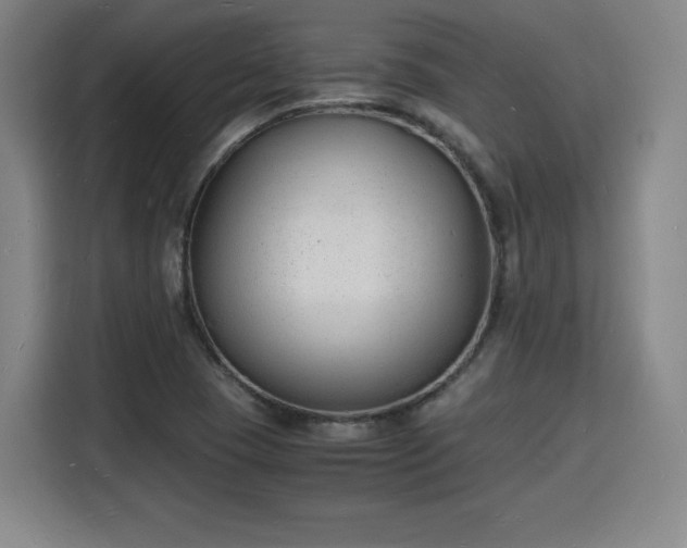 X0000115841409200911201543