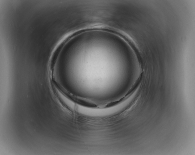 X0000115841414200911201543