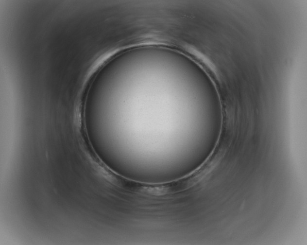 X0000115841415200911201543