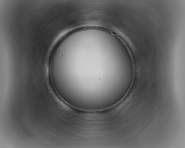 X0000115841416200911201543