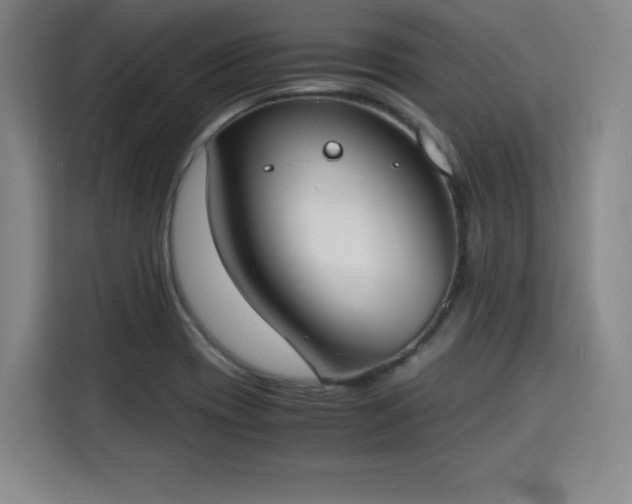 X0000115841417200911201543