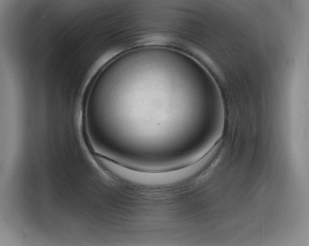 X0000115841418200911201543