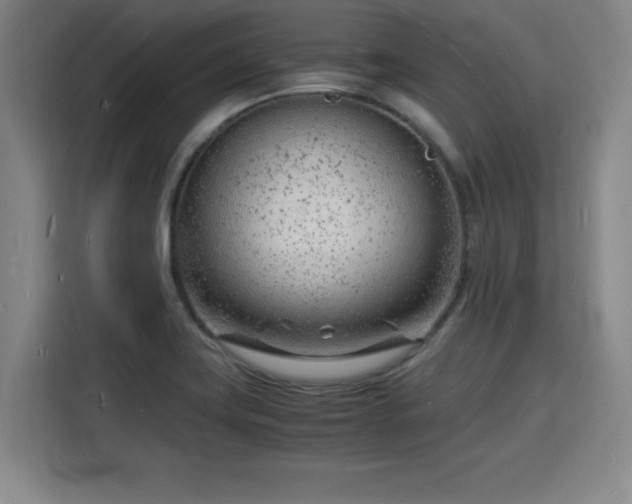 X0000115841419200911201544