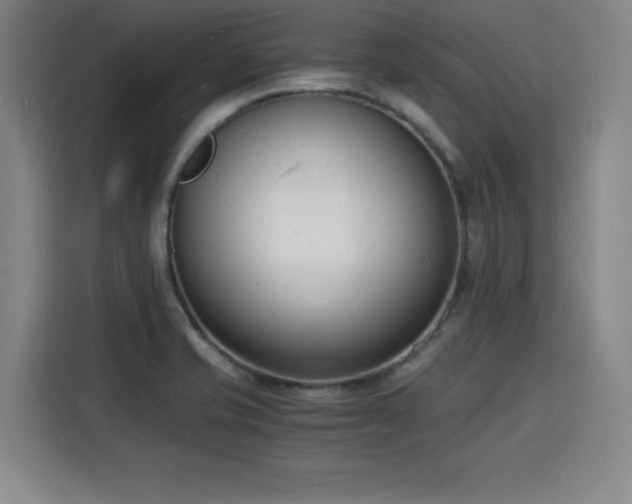 X0000115841421200911201544