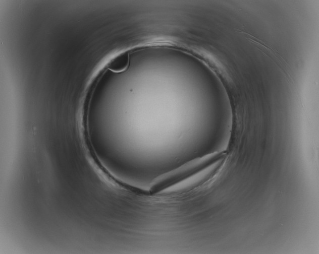 X0000115841422200911201544