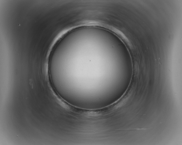 X0000115841424200911201544