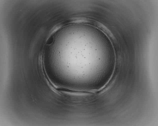 X0000115841425200911201544
