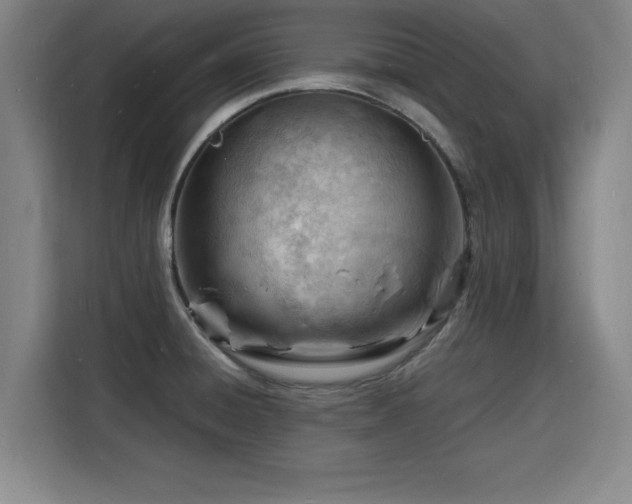 X0000115841428200911201544