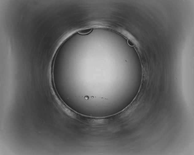 X0000115841431200911201544