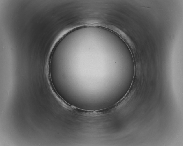X0000115841432200911201544