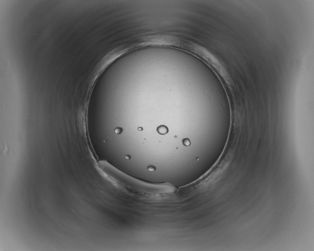 X0000115841433200911201544