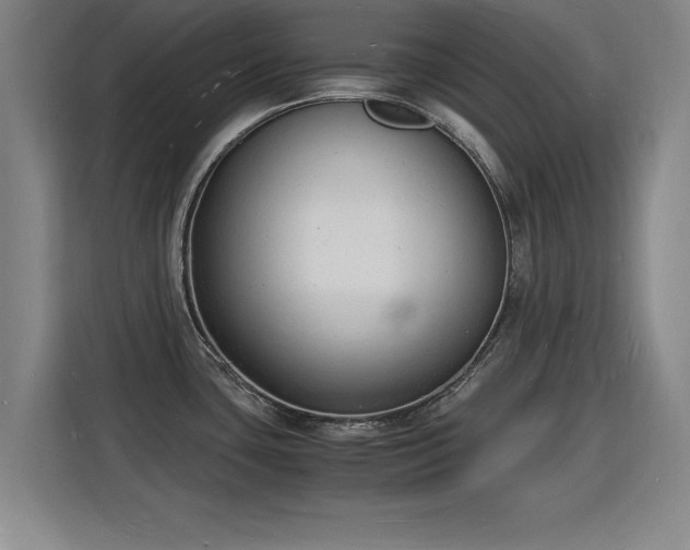 X0000115841435200911201544