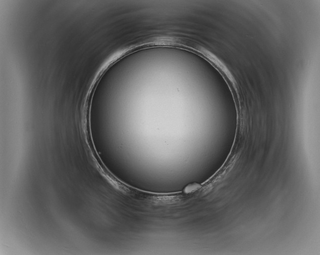 X0000115841437200911201544