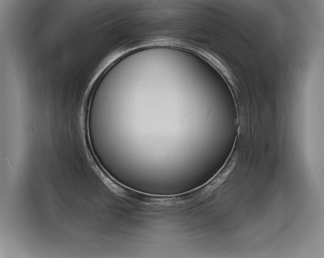 X0000115841438200911201544