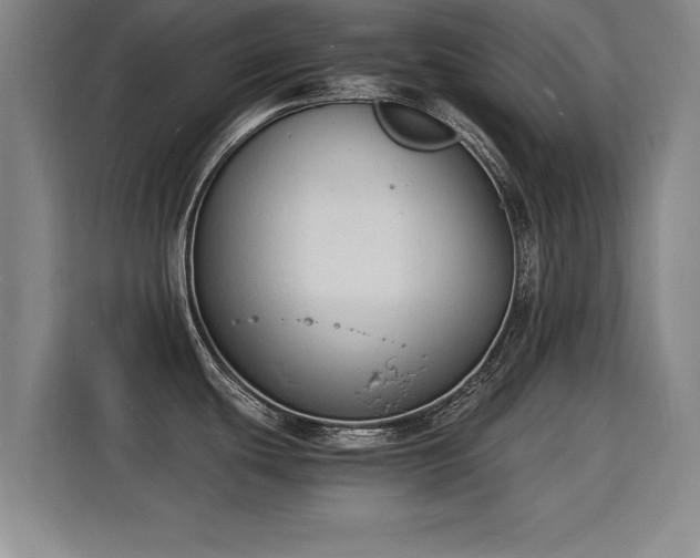 X0000115841439200911201544