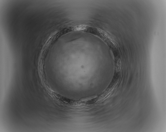 X0000115841441200911201543