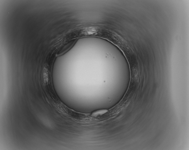 X0000115841442200911201543