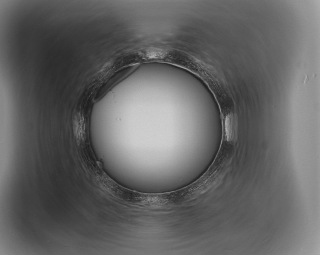 X0000115841443200911201543