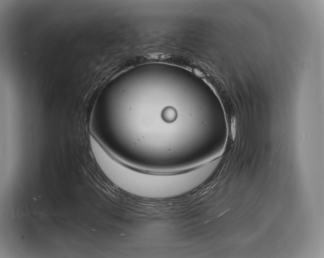 X0000115841444200911201543