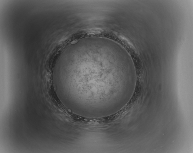 X0000115841445200911201543