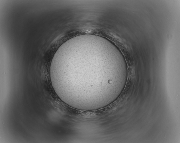 X0000115841446200911201543