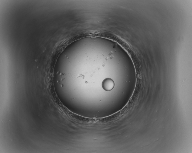 X0000115841447200911201543