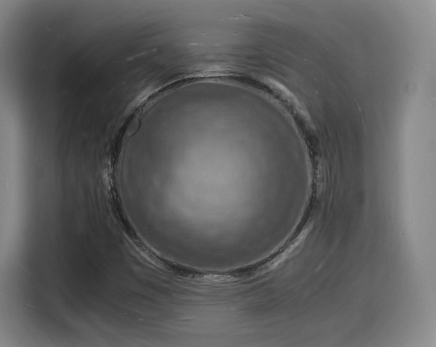 X0000115841449200911201543