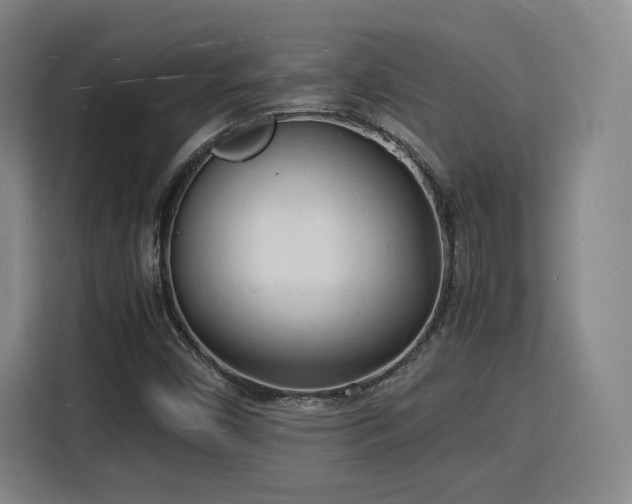 X0000115841450200911201543