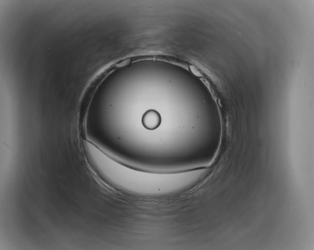 X0000115841452200911201543