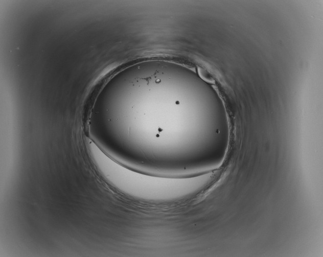X0000115841453200911201543