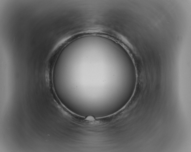 X0000115841456200911201543
