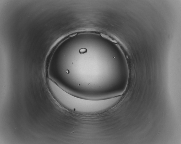 X0000115841460200911201543
