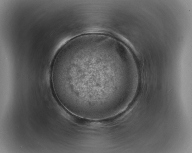 X0000115841463200911201543