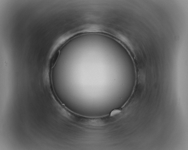 X0000115841464200911201543