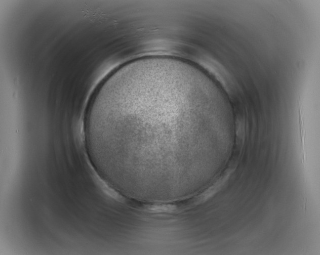 X0000115841466200911201543