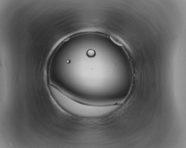 X0000115841468200911201543