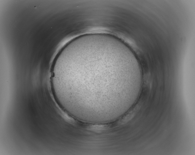 X0000115841470200911201543