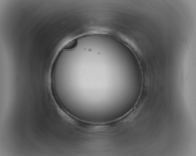 X0000115841471200911201543