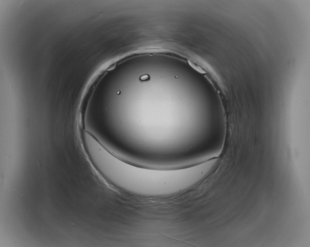 X0000115841472200911201543